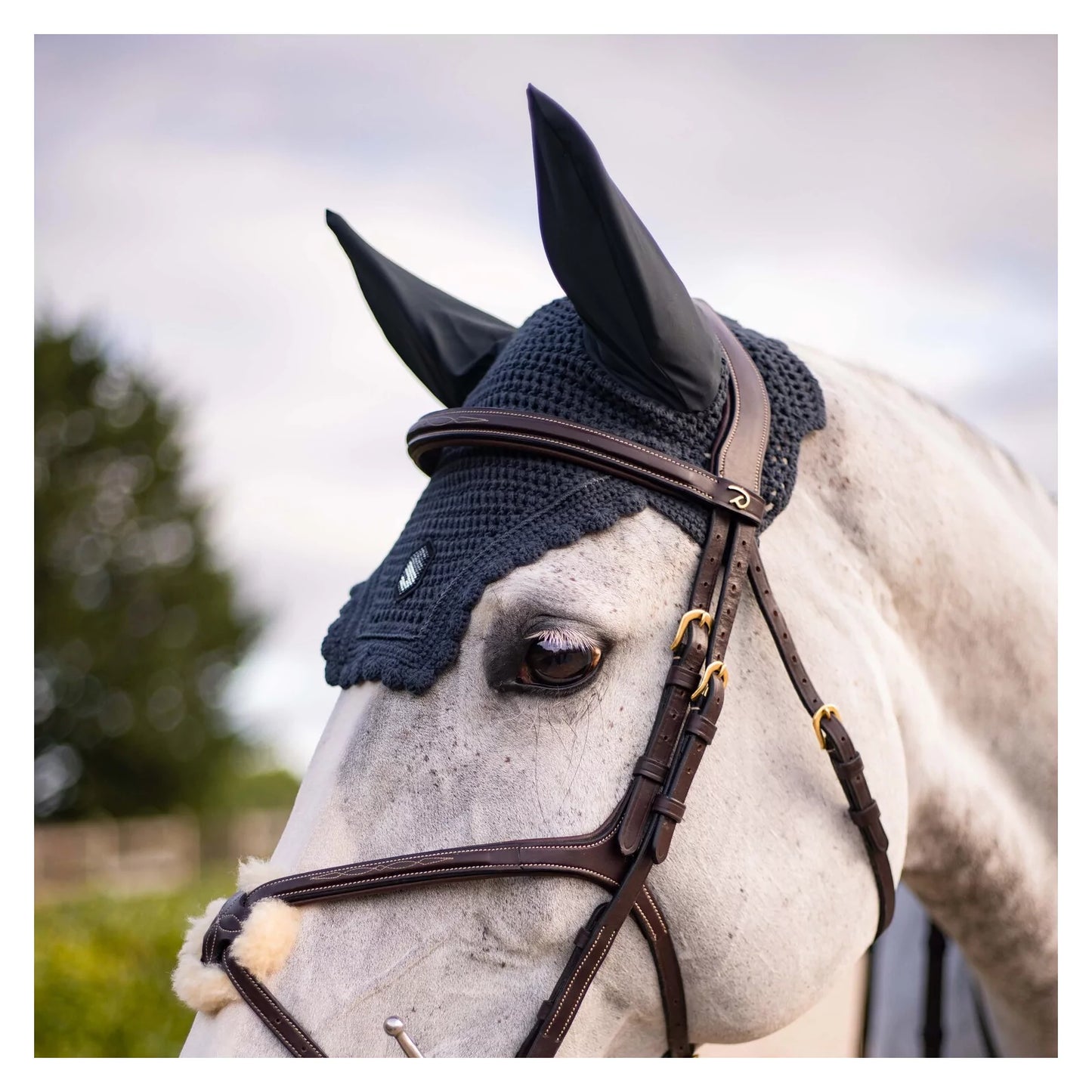 Horse wearing a bridle with a fly mask in an outdoor setting