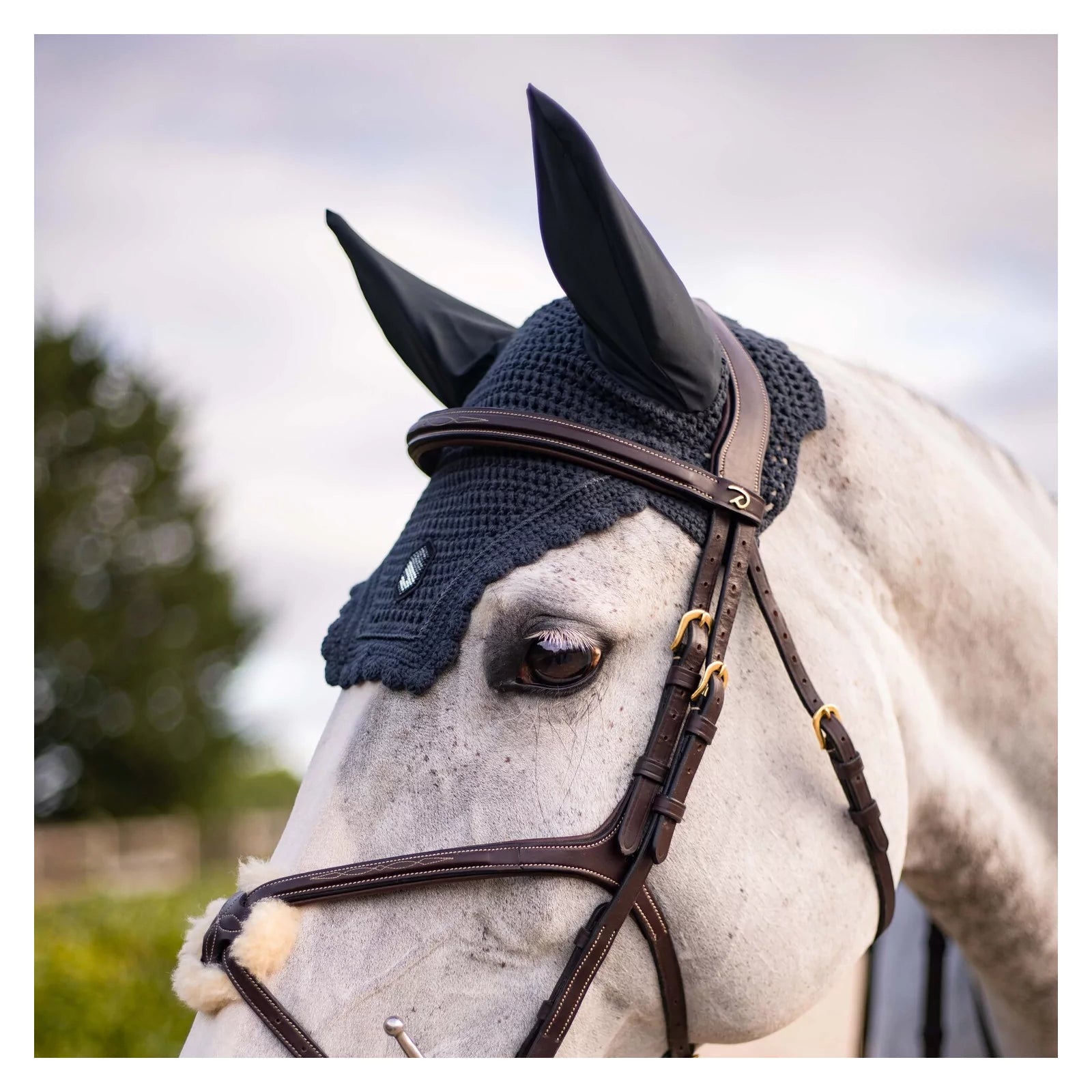 Horse wearing a bridle with a fly mask in an outdoor setting
