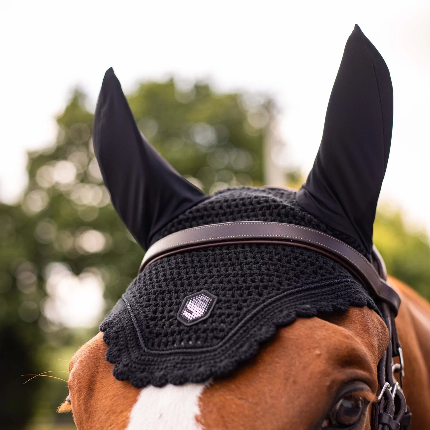 Horse wearing a black fly mask with ear flaps against a blurred green background