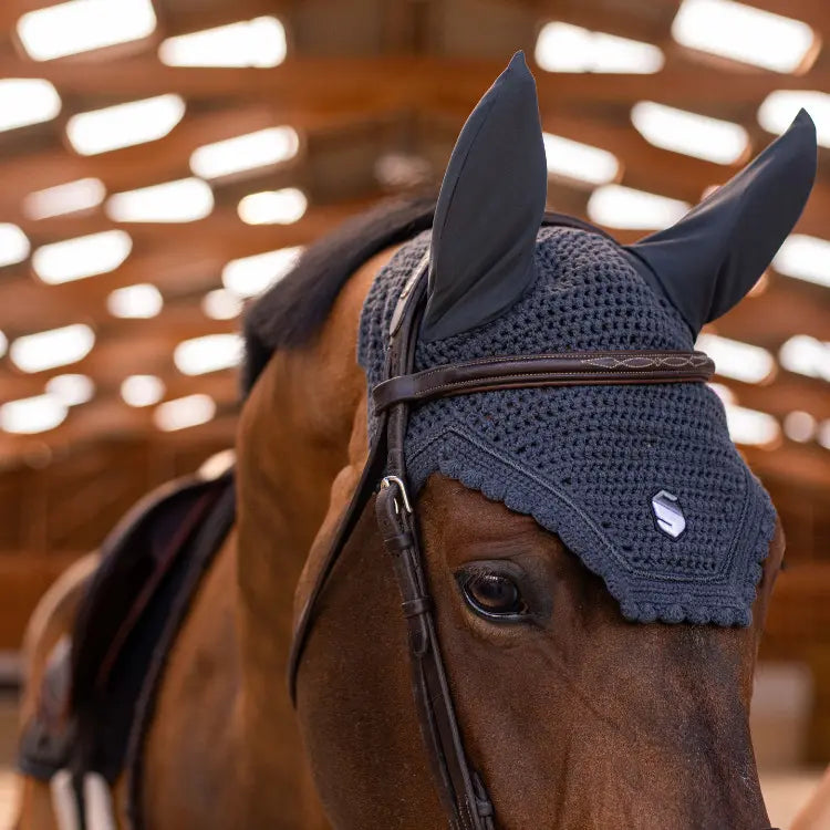 Horse wearing a grey mesh ear bonnet with a blurred indoor background
