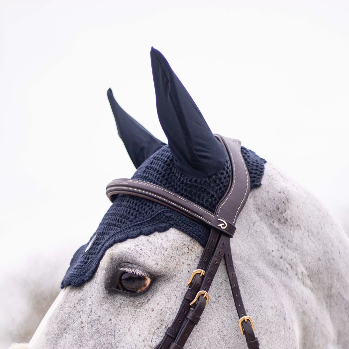 A close-up of a gray horse wearing a dark navy knit fly veil and matching navy ear covers with dark brown leather bridles and gold-tone hardware against a bright white background.