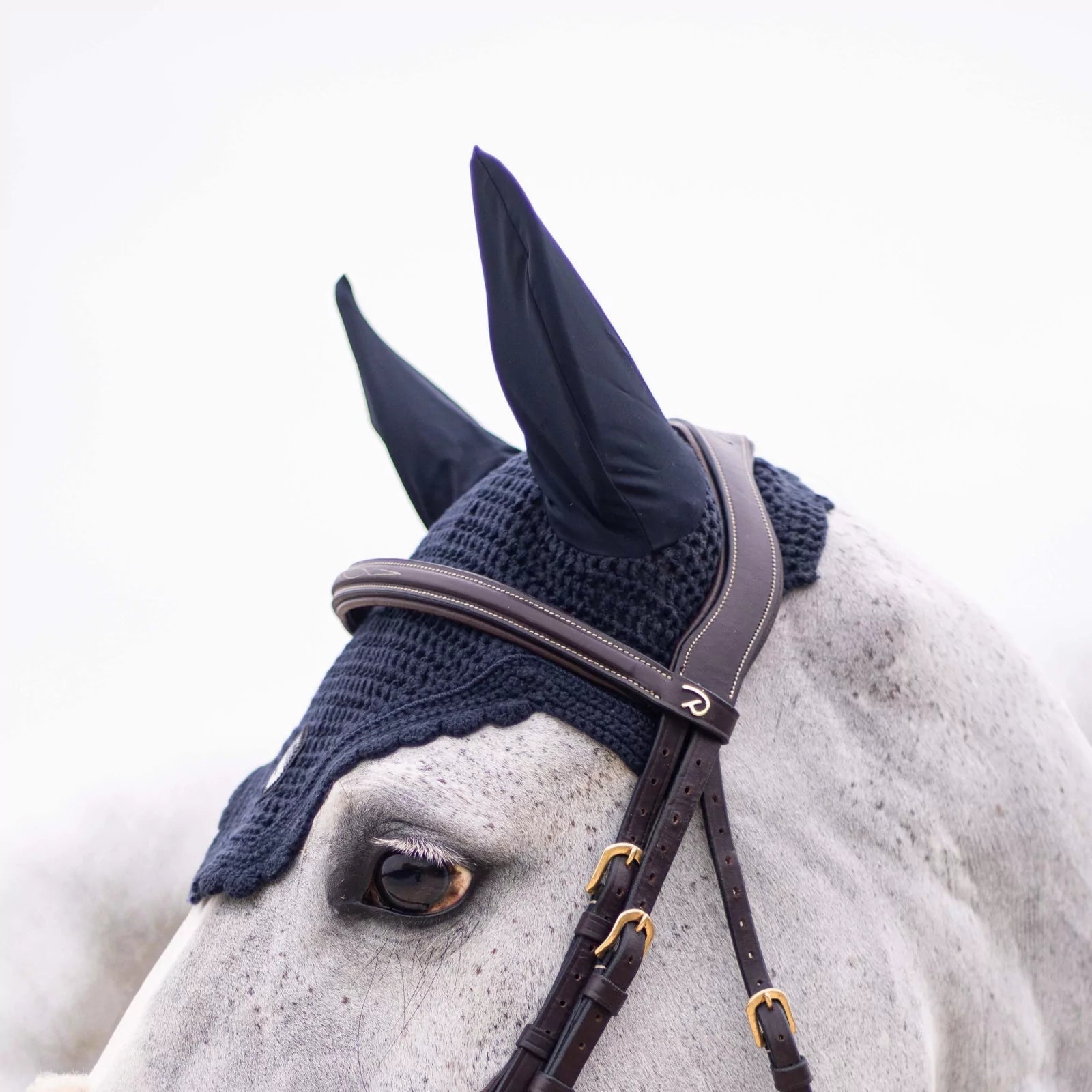 A close-up of a gray horse wearing a dark navy knit fly veil and matching navy ear covers with dark brown leather bridles and gold-tone hardware against a bright white background.
