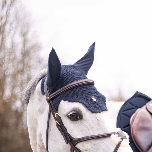 Horse wearing a blue fly mask with a blurred natural background