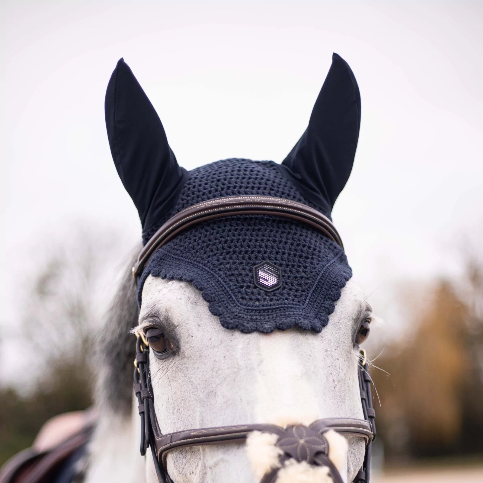 Horse wearing a dark blue fly mask with ear flaps on a blurred background
