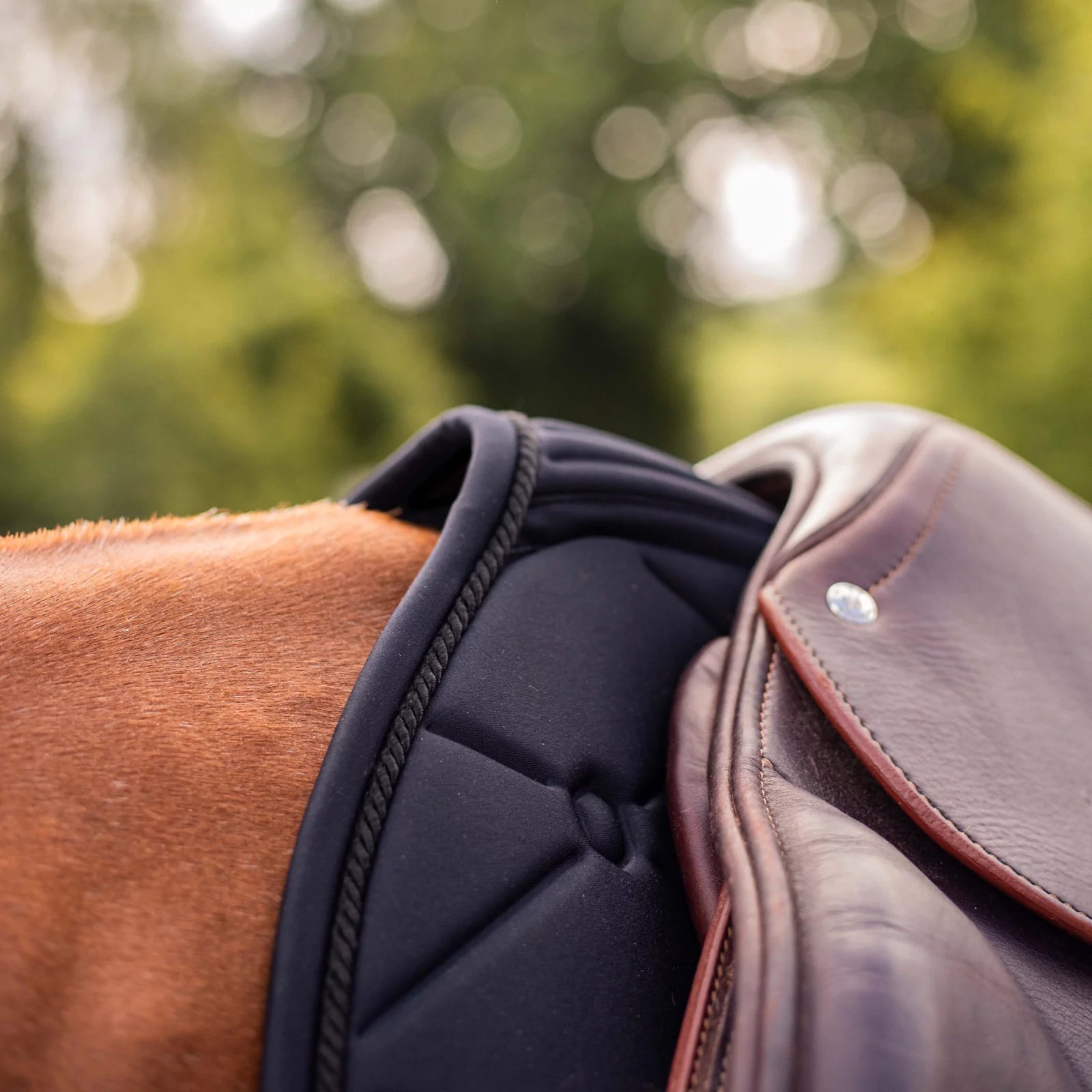 Close-up of a horse saddle with a blurred natural background