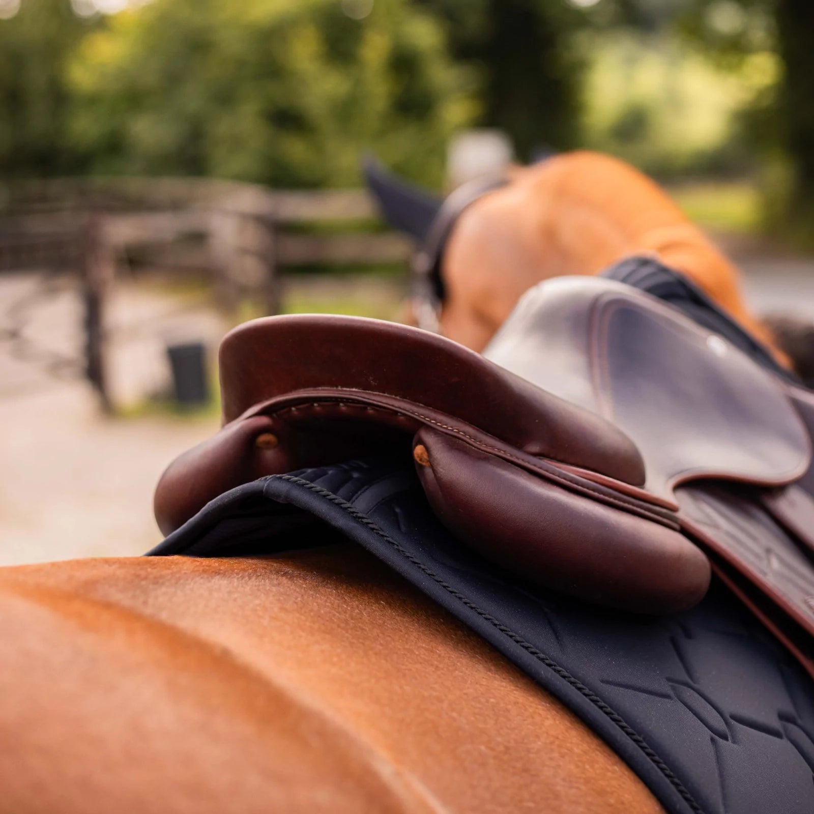 Brown leather saddle on a horse with a blurred natural background