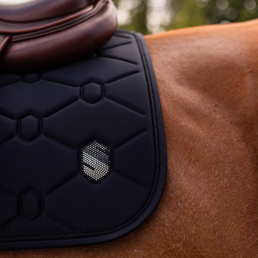 Black saddle pad on a horse with a blurred natural background