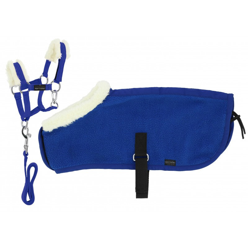 Blue horse blanket with white trim and blue halter on a white background