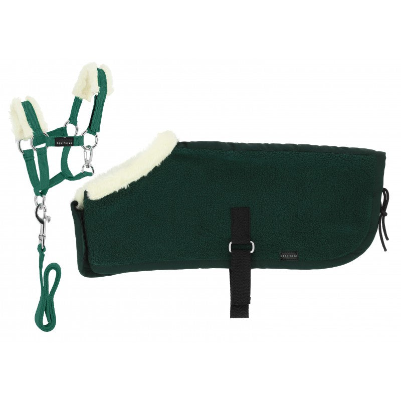 Green horse blanket with white trim and green straps on a white background