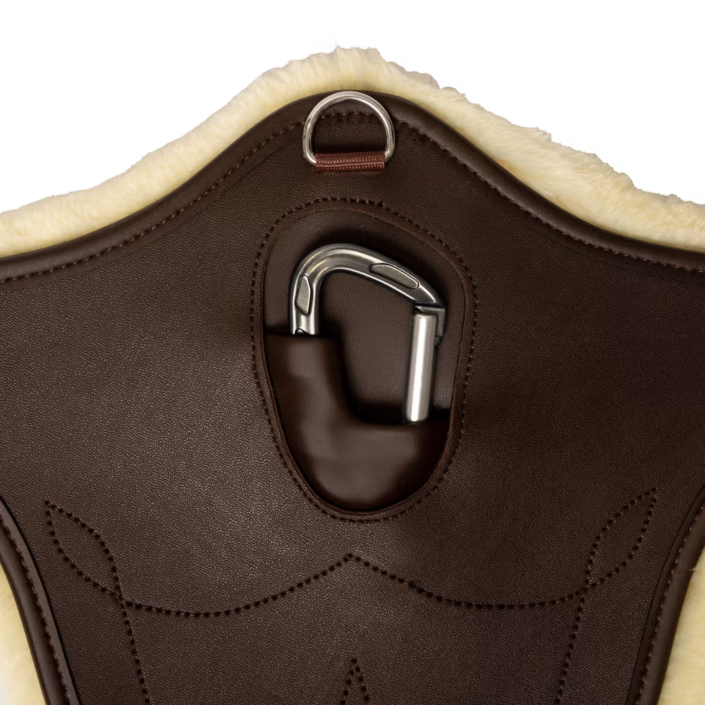 Close-up of a brown leather girth with a metal buckle on a white background