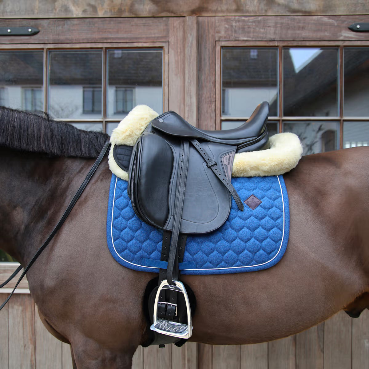 Horse with a black leather saddle and blue quilted pad in front of a wooden stable.