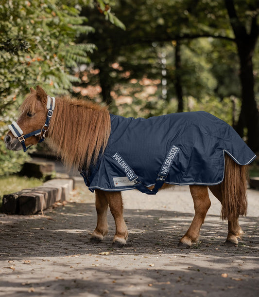Horse wearing a blue blanket in a natural setting with trees.