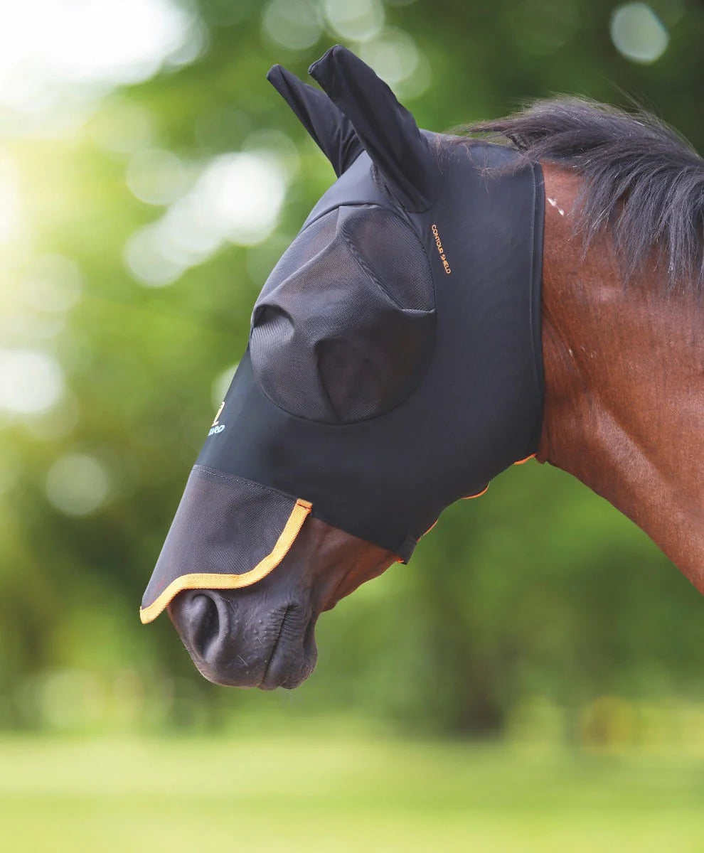 Horse wearing a black fly mask with a blurred green background