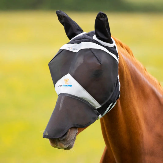 Horse wearing a fly mask in a field