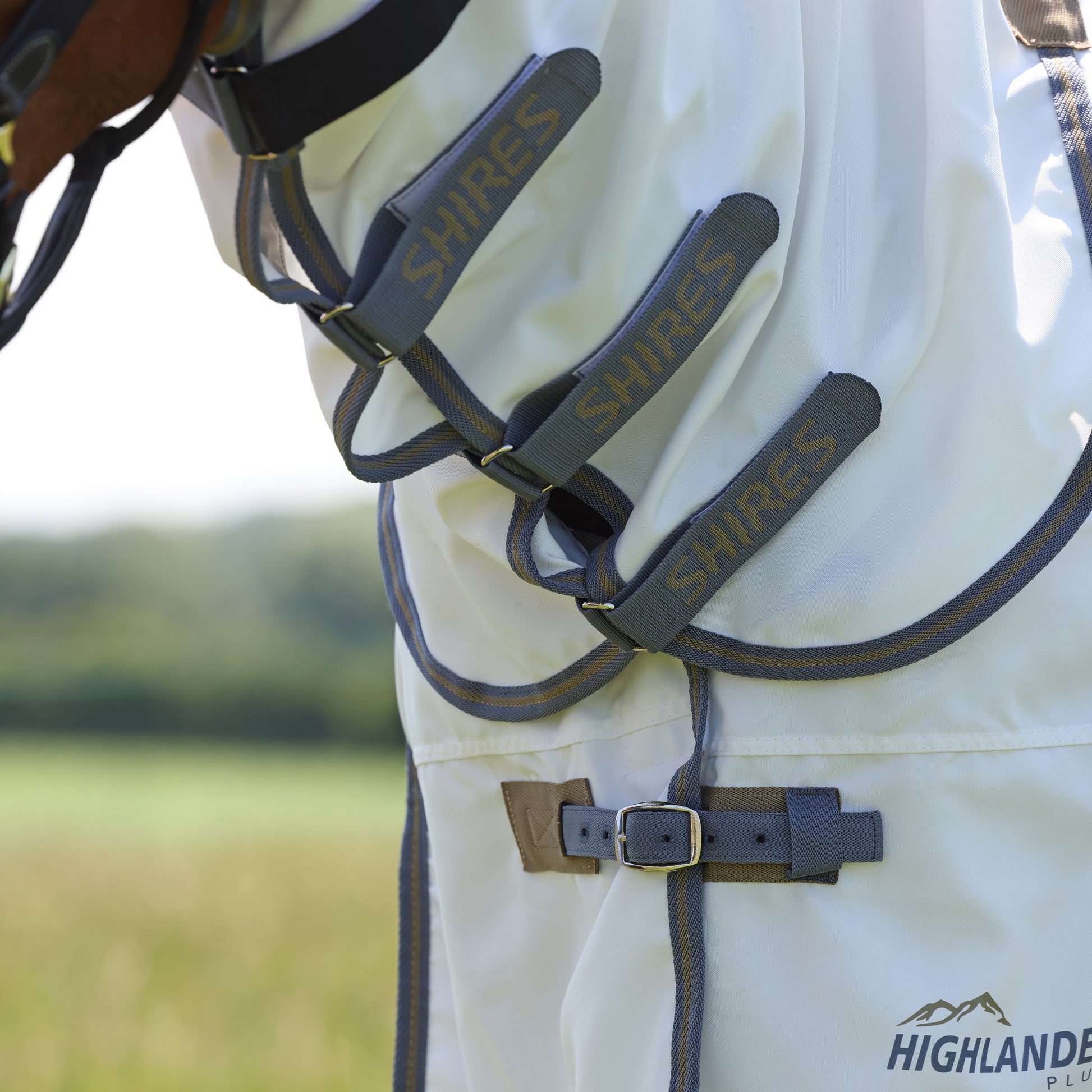 Horse wearing a white fly sheet with 'Shires' branding in a field.