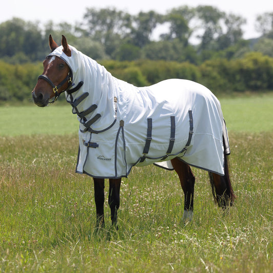 Horse wearing a white fly sheet in a grassy field with trees in the background