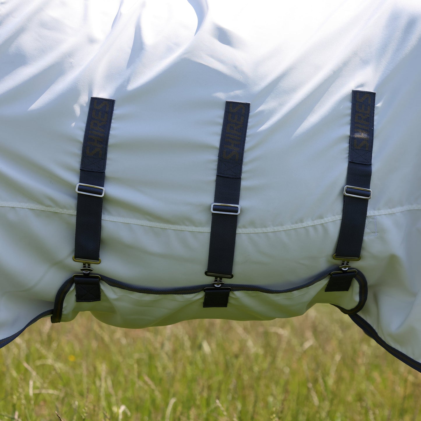 Close-up of a horse blanket with straps on a grassy background