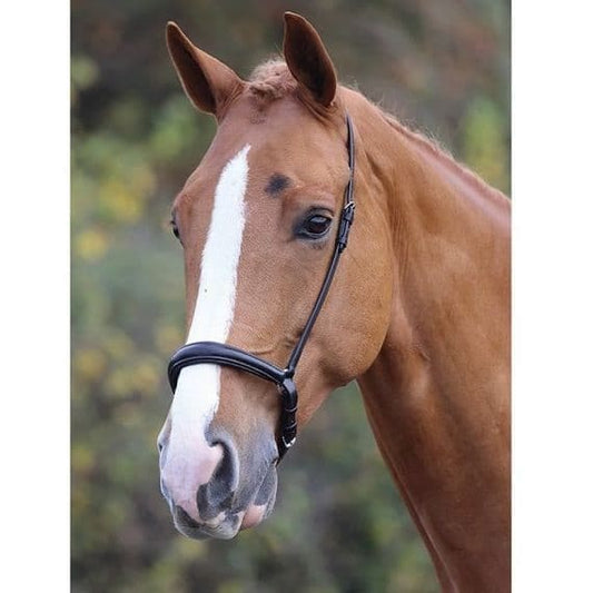Boomerang Equestrian - Shires Padded Drop Noseband Black