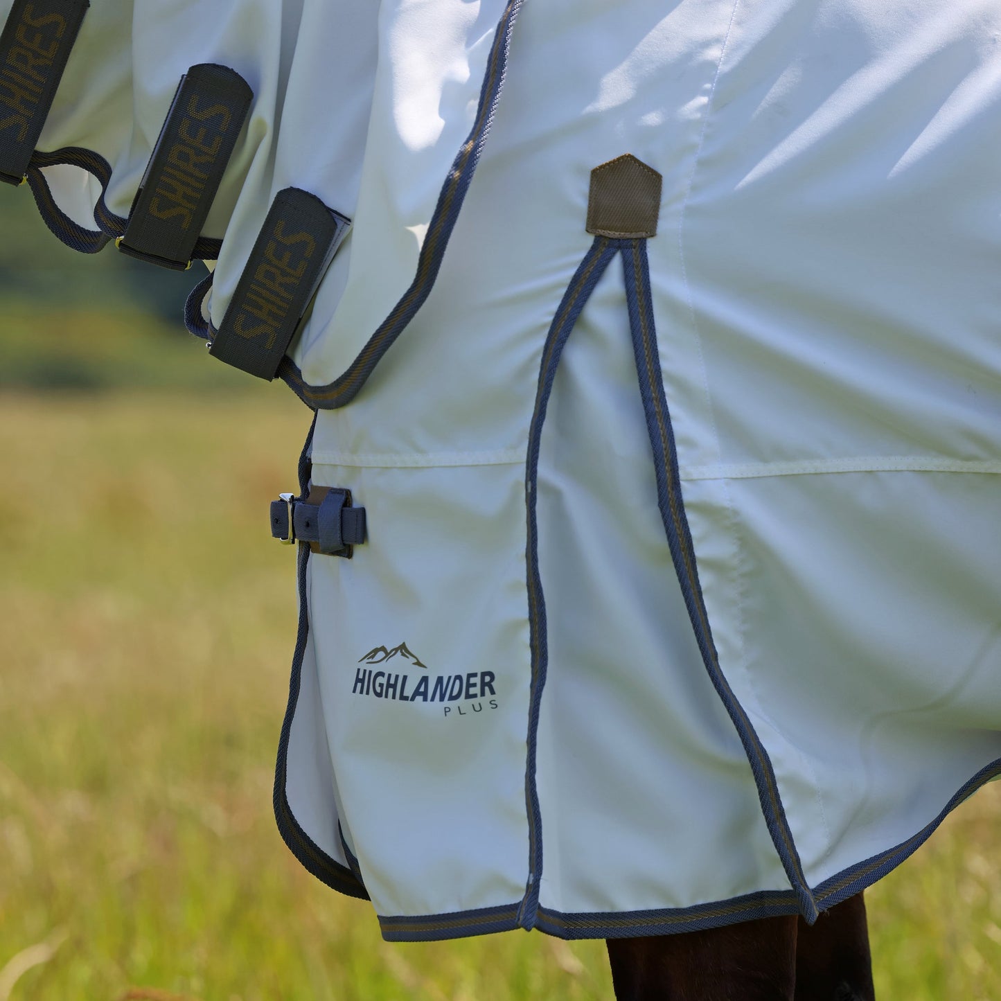 Close-up of a horse wearing a white blanket with 'Highlander Plus' branding in a grassy field.