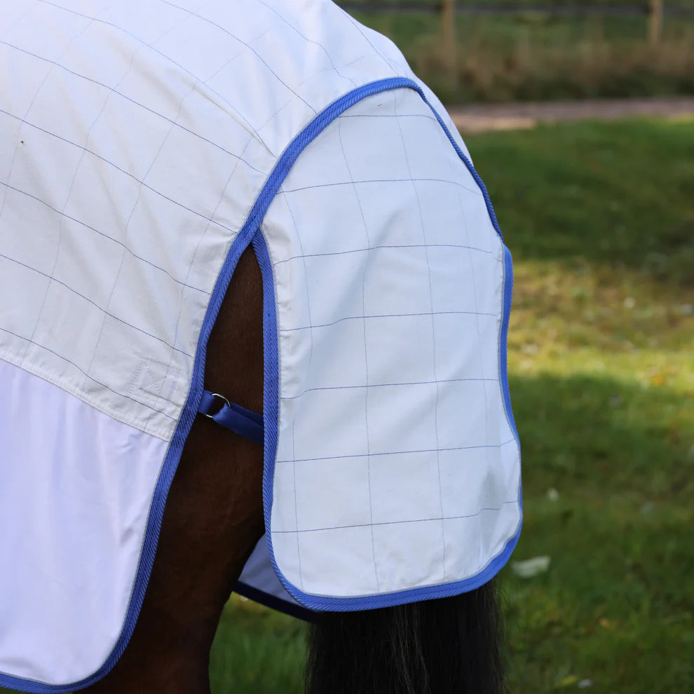 White protective garment with blue trim on a horse in a grassy field