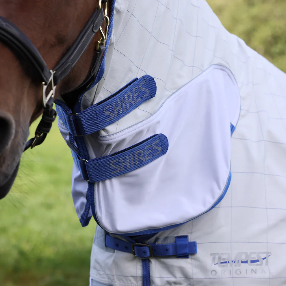 Horse wearing a leather headcollar and a fly rug with blue straps and 'Shires' branding, set against a blurred green background.