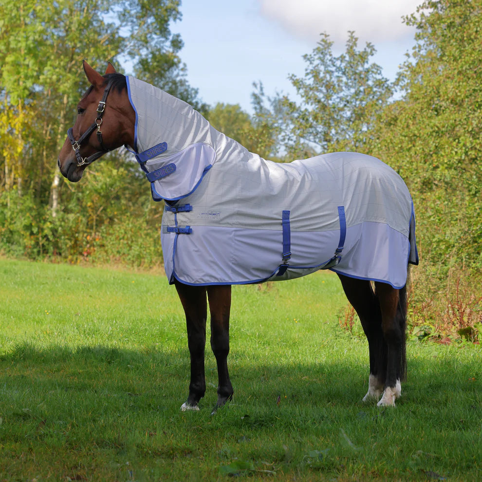 Horse wearing a white fly sheet with blue straps in a grassy field.