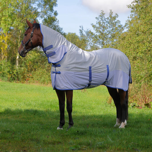 Horse wearing a white fly sheet with blue straps in a grassy field.