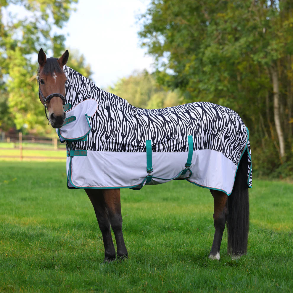 Horse wearing a zebra-patterned blanket in a grassy field with trees in the background