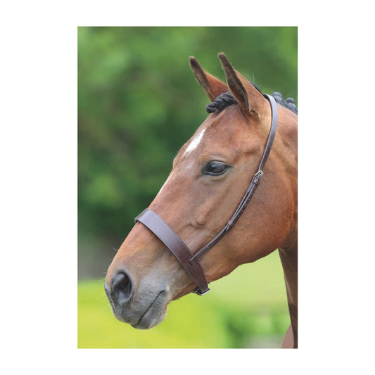 Boomerang Equestrian - Shires Velociti Gara Large Plain Noseband Brown