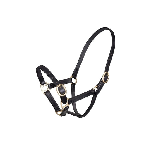 Boomerang Equestrian - Shires Velociti Gara Leather Foal Headcollar Black