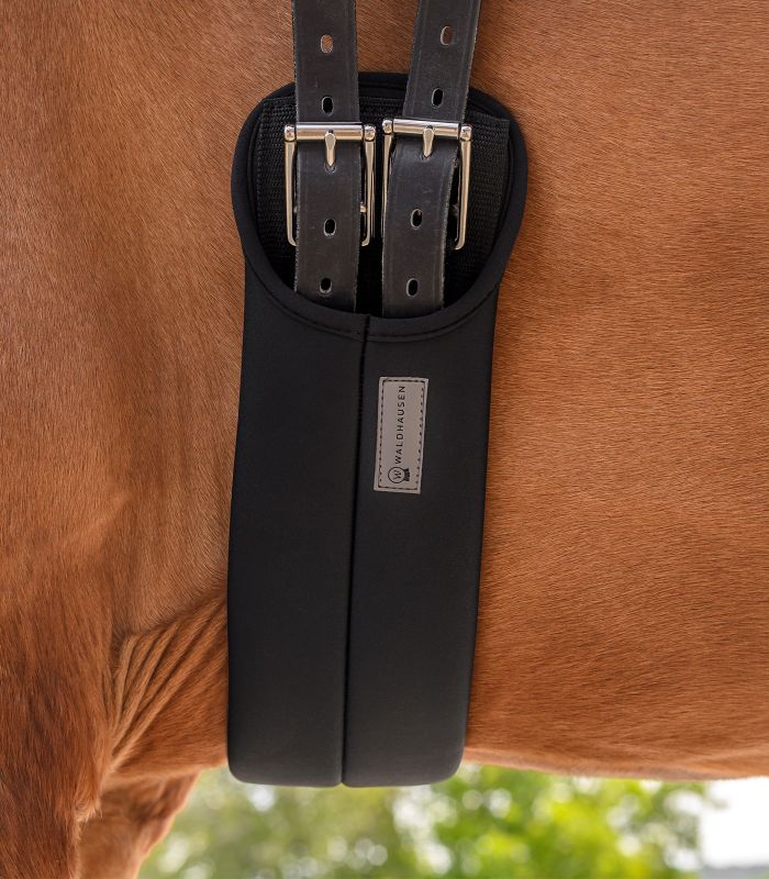 Black girth with metal buckles on a horse's body, branded Waldhausen