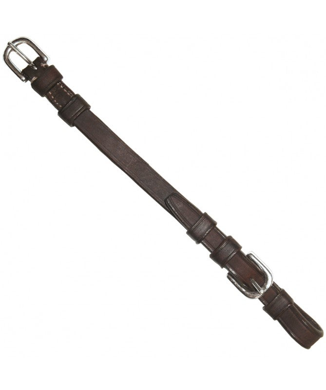 A dark brown leather strap with silver-tone metal buckles, shown diagonally on a plain white background.