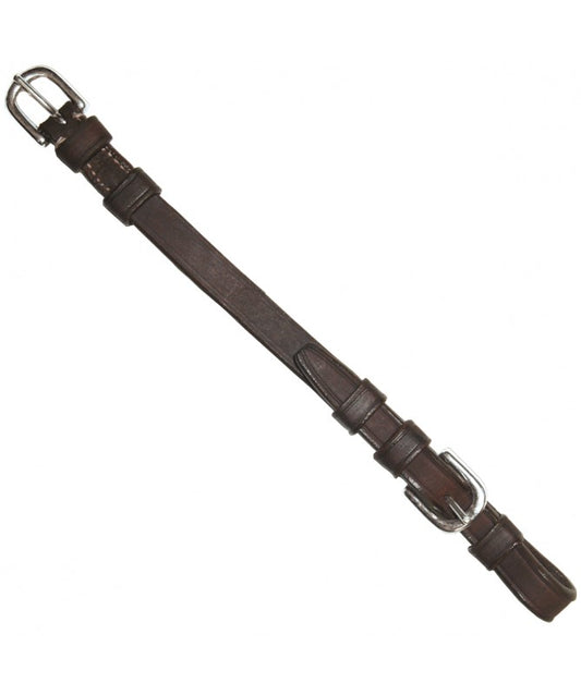 A dark brown leather strap with silver-tone metal buckles, shown diagonally on a plain white background.