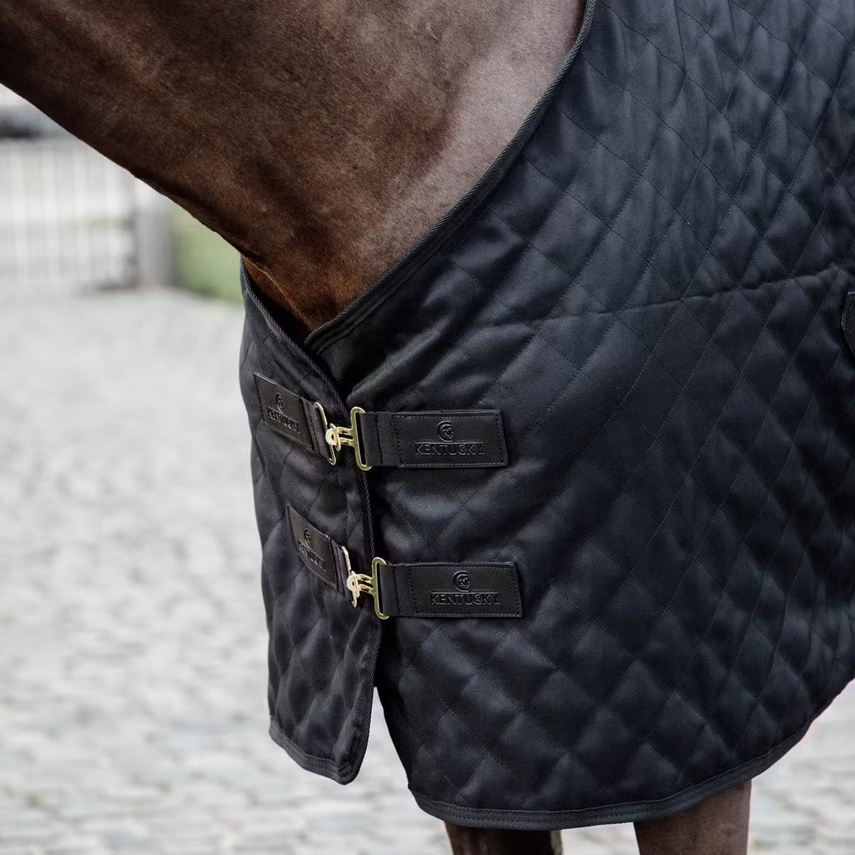 Black quilted horse blanket on a horse with a blurred background