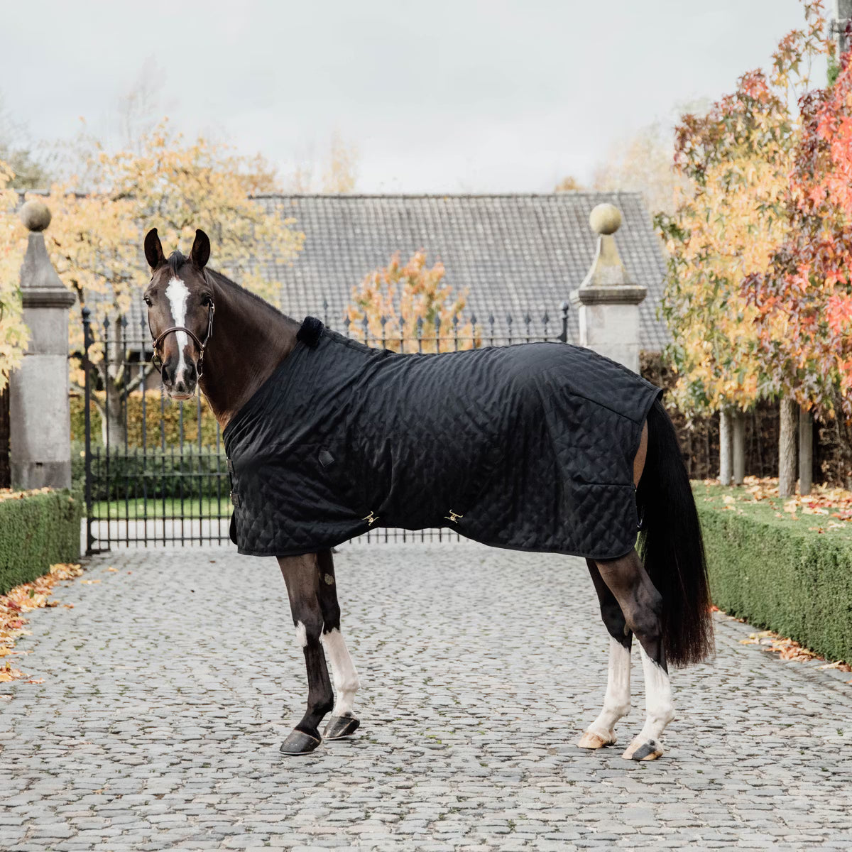 Horse wearing a black quilted blanket standing on a cobblestone path with autumn trees in the background.