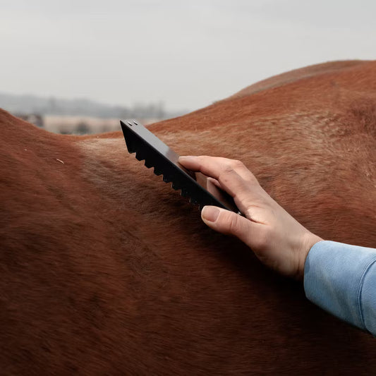 Person grooming a horse with a black brush against a blurred outdoor background