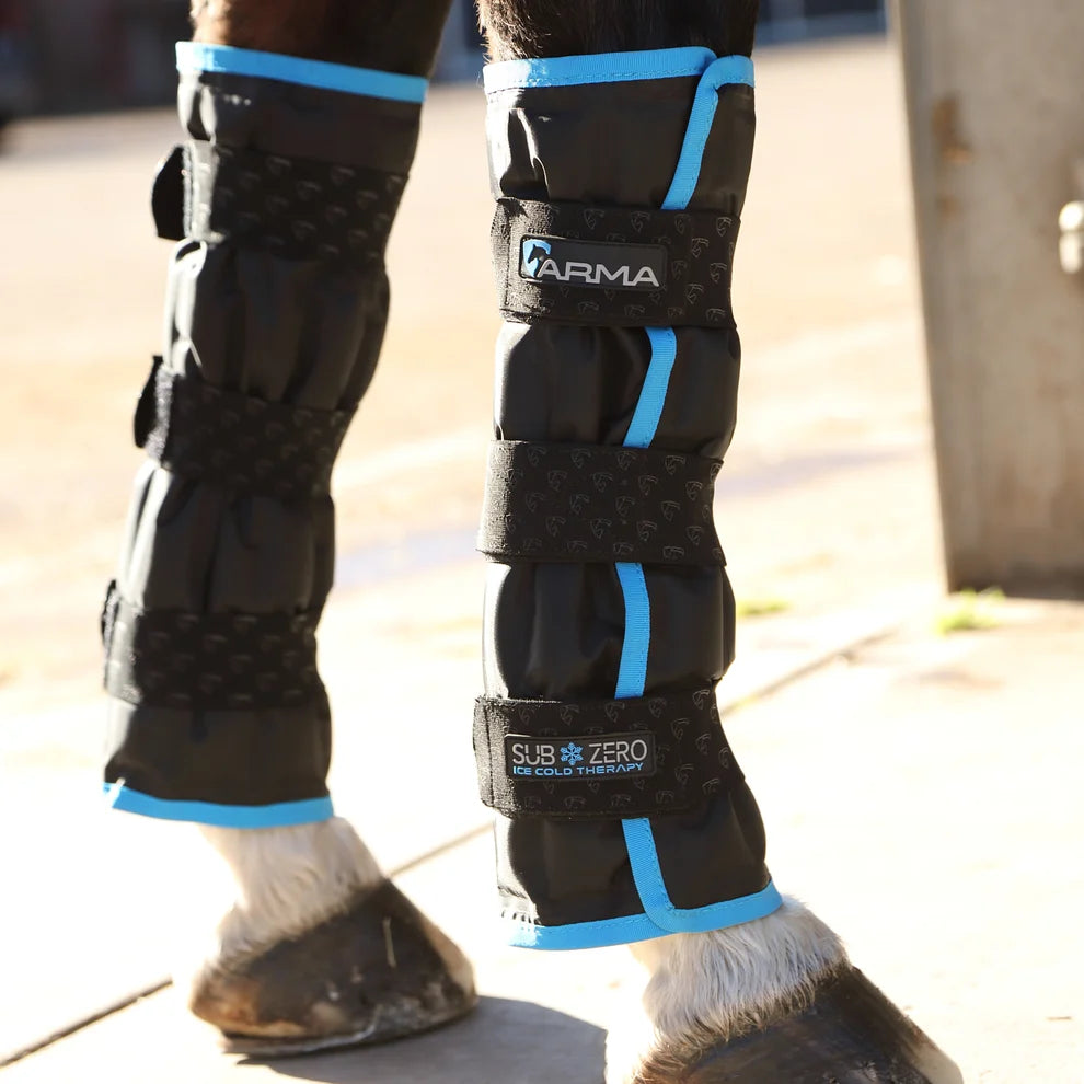 Horse legs wearing black leg wraps with blue accents and 'arma' branding.
