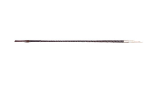 Showing cane on a white background 