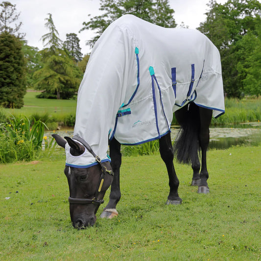 Horse wearing a white fly sheet with blue accents in a grassy field.