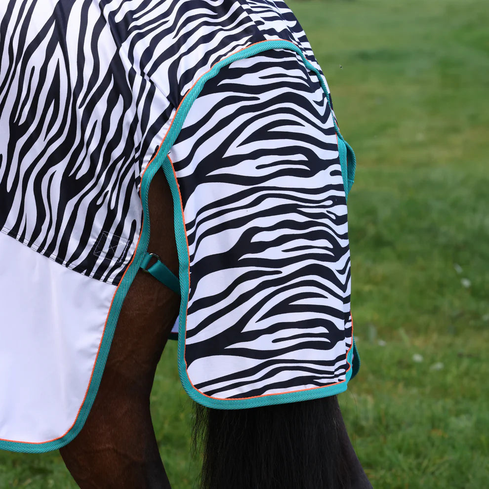Zebra-patterned horse blanket with turquoise trim on a grassy background
