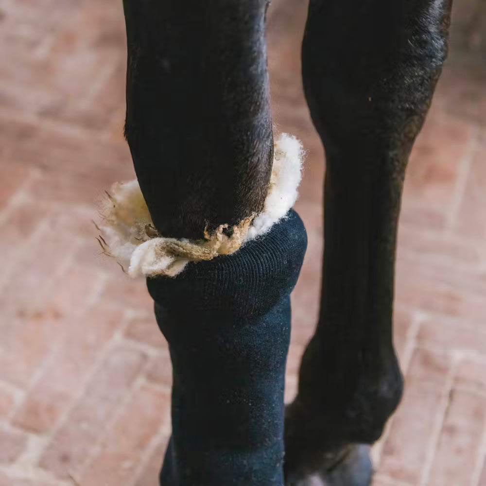 Close-up of a horse's leg with a black leg wrap and white bandage on a brick floor.