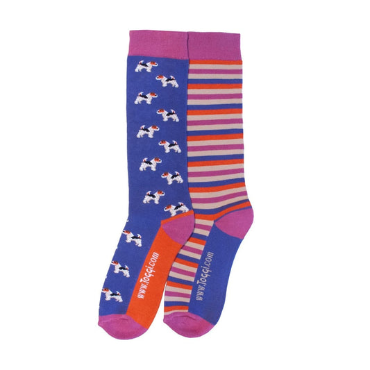 Boomerang Equestrian - Toggi Ladies Terrier & Stripe Socks 2 pack Blue