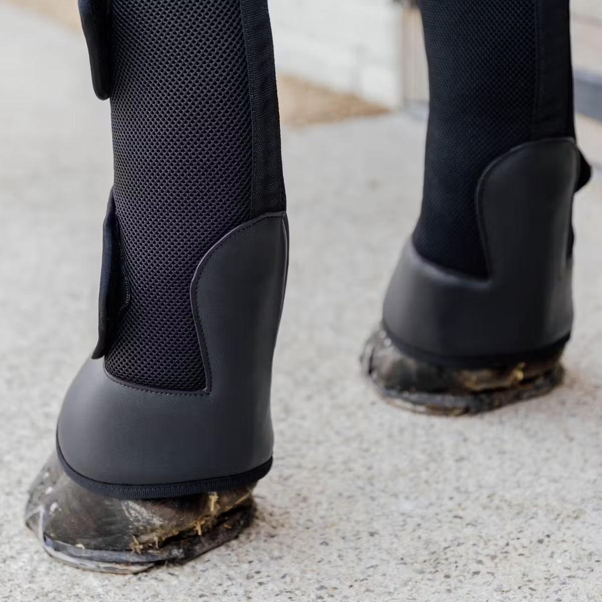 Close-up of black equestrian boots with protective gaiters on a light background