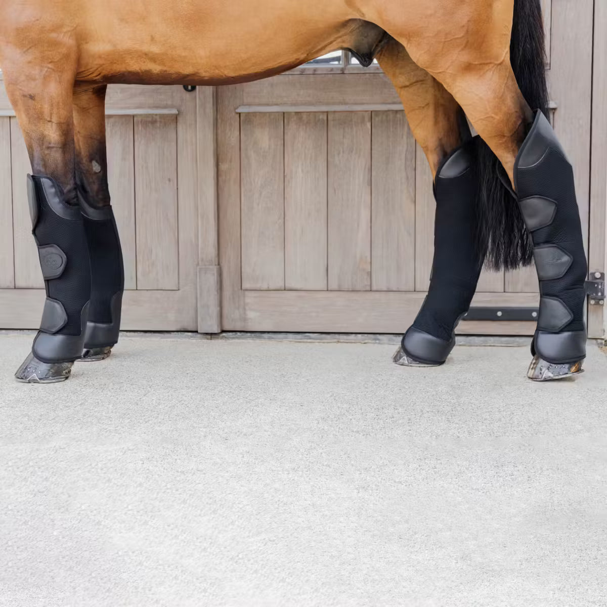Horse wearing black protective boots on a stable floor.