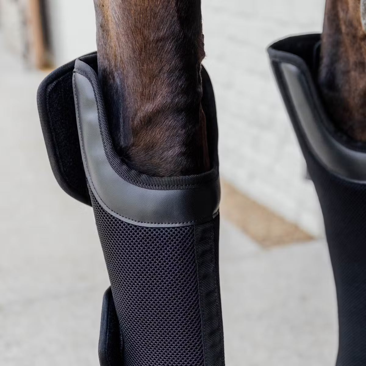 Close-up of a horse's leg with protective boot on a light background