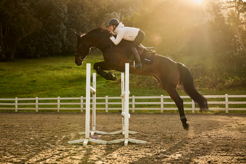 A person riding a dark horse in an outdoor equestrian arena, clearing a white jump in warm golden sunlight with trees and a fence in the background.