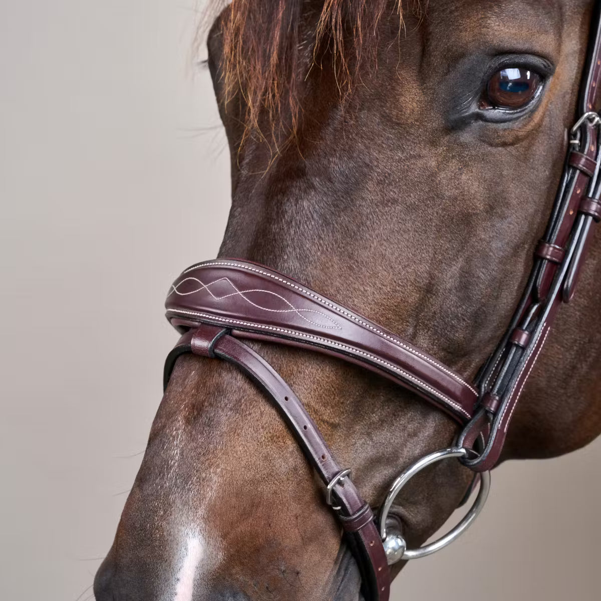 Close-up of a horse's head wearing a brown bridle on a neutral background