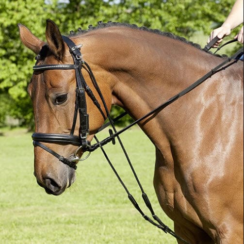 Boomerang Equestrian - USG Chambon Black