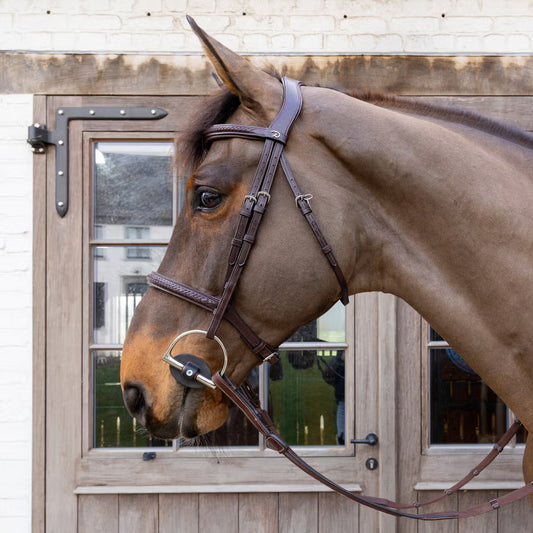 Brown horse with a bridle looking through a wooden stable door.