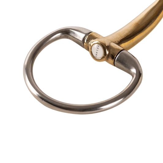 Close-up of a pair of horse bridle bits with gold and silver finish on a white background